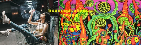 кокаин Новозыбков