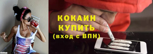 соль ск Новодвинск
