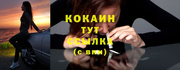 соль ск Новодвинск