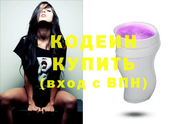 соль ск Новодвинск