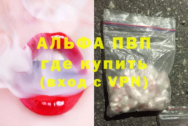 соль ск Новодвинск