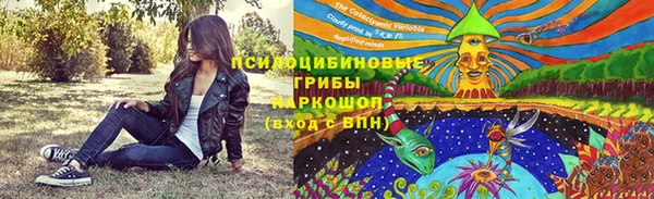 бошки Нефтегорск