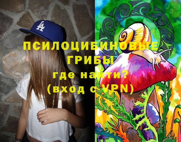 соль ск Новодвинск