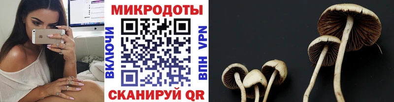Галлюциногенные грибы GOLDEN TEACHER  Полевской 