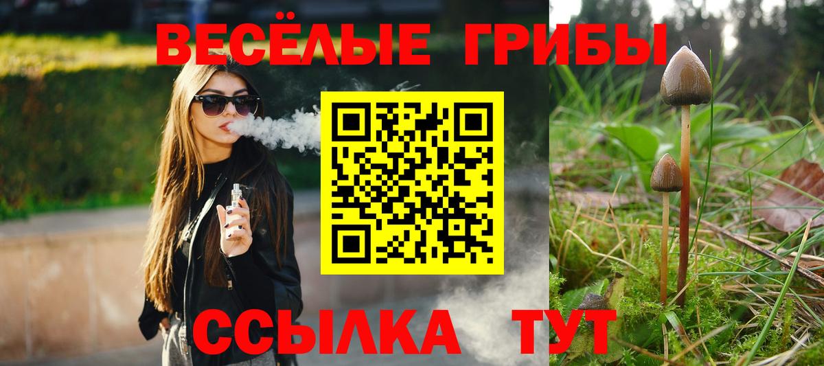 Галлюциногенные грибы ЛСД  Вход с VPN  Полевской  Галлюциногенные грибы Psilocybe 